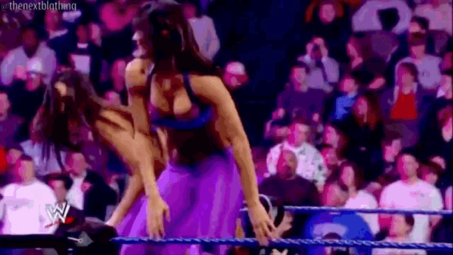 a couple of women are wrestling in a ring .