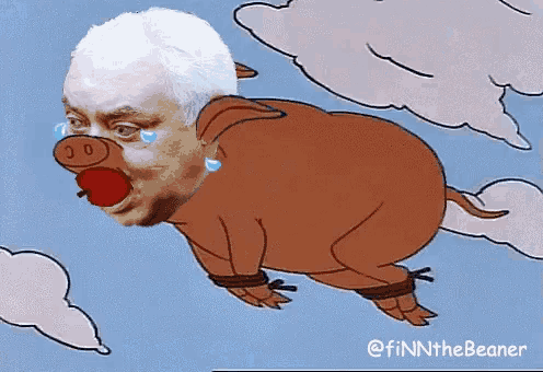 a cartoon drawing of a pig with a man 's face on its back