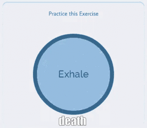 Death Practice This Exercise GIF - Death Practice This Exercise Exercise GIFs