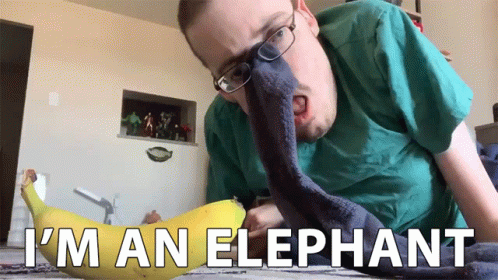 Im An Elephant Sillly GIF - Im An Elephant Sillly Hilarious GIFs