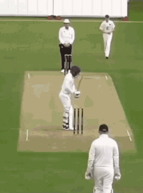 Cricket Stumps GIF - Cricket Stumps Wicket GIFs