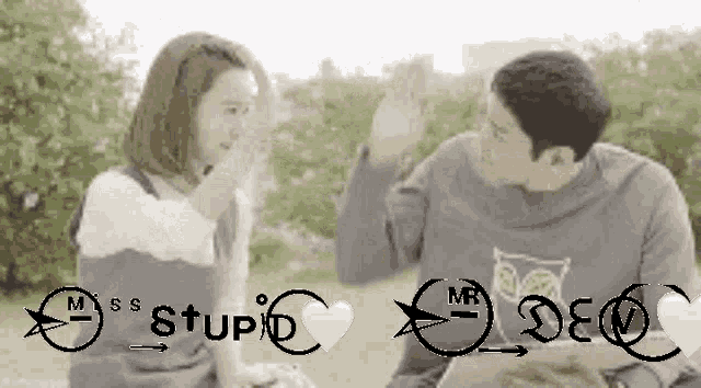 a man and a woman are sitting next to each other in a park and talking .