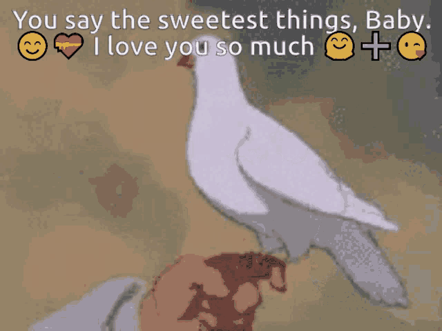 a white pigeon is being held in someone 's hand with the words you say the sweetest things baby i love you so much above it