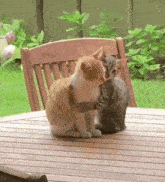 two cats are hugging each other on a table outside .