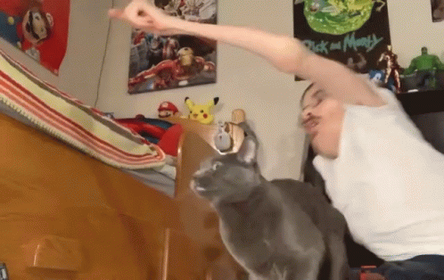 Pet Cat Obedient Cat GIF - Pet Cat Obedient Cat Climbing Over GIFs
