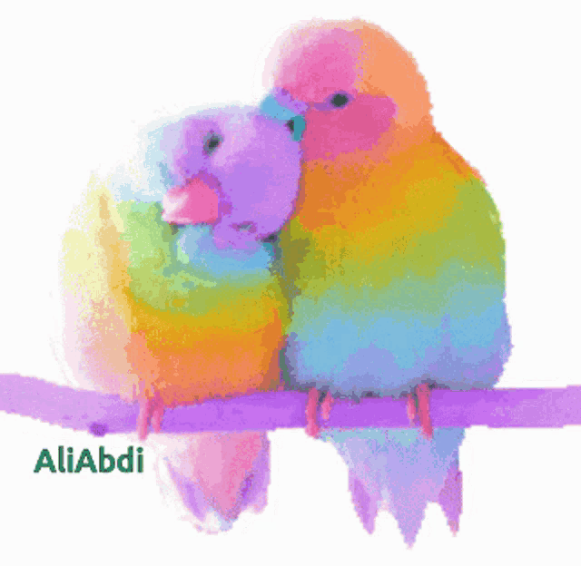 a couple of colorful birds sitting on a purple branch with the name aliabdi below them