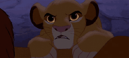 a close up of a lion cub with a serious look on his face