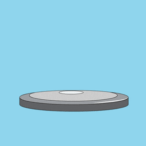 a penguin with a coin on top of its head
