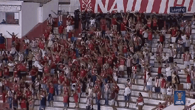 Cheering Crowd GIF - Cheering Crowd Fans GIFs