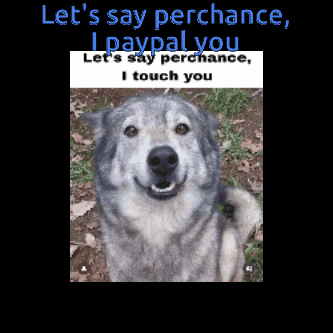 a picture of a dog with the words let 's say perchance