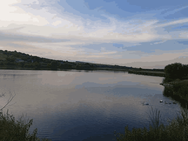 two ducks are swimming in a lake with a cloudy sky in the background