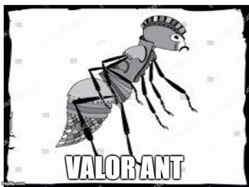 Valorant Awesome GIF - Valorant Valor Ant GIFs