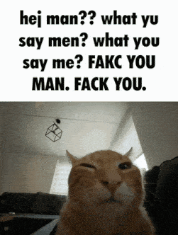 a picture of a cat with a caption that says " hej man what yu say men what you say me fakc you man fack you "