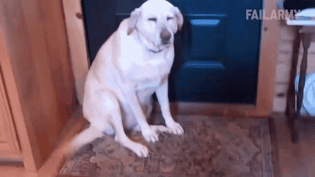 Squinting Happy GIF - Squinting Happy Wagging Tail GIFs