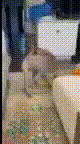 a blurred image of a person standing in a room