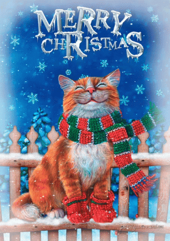 Snow Cat GIF - Snow Cat Merry Christmas GIFs