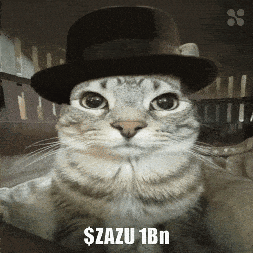 a cat wearing a top hat with $ azu 1bn written on it