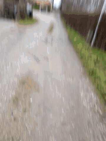 a blurred image of a dirt road with grass on both sides