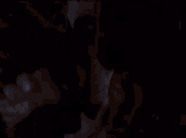 a man and woman are kissing in the dark in a dark room .