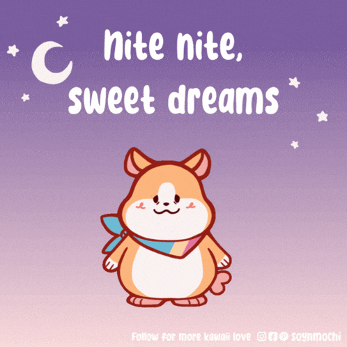 a picture of a hamster with the words " nite nite sweet dreams " above it