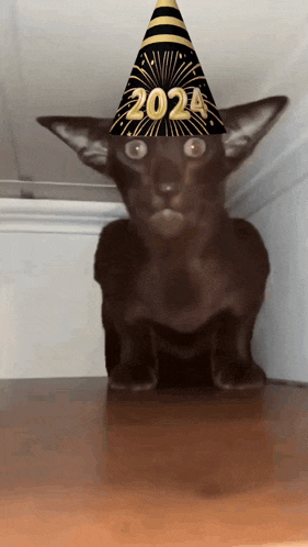 a cat wearing a new year 's eve hat with the year 2024 on it