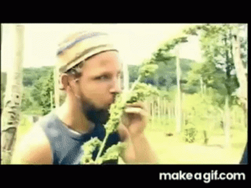 Israel Vibration Herb Is The Healing GIF - Israel Vibration Herb Is The Healing Herb GIFs