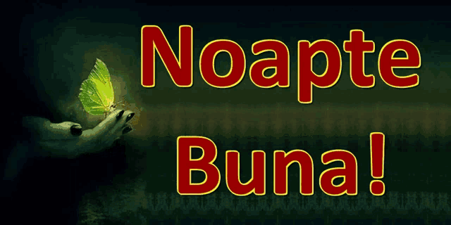 a hand holding a green butterfly with the words noapte buna written below it