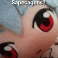 a close up of a stuffed animal 's face with red eyes and the words sapecagens ?