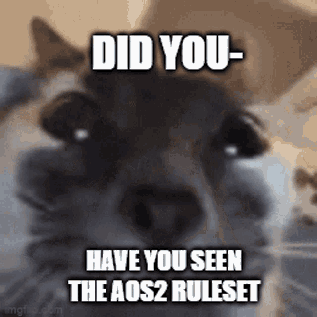a cat with a caption that says did you have you seen the aos2 ruleset