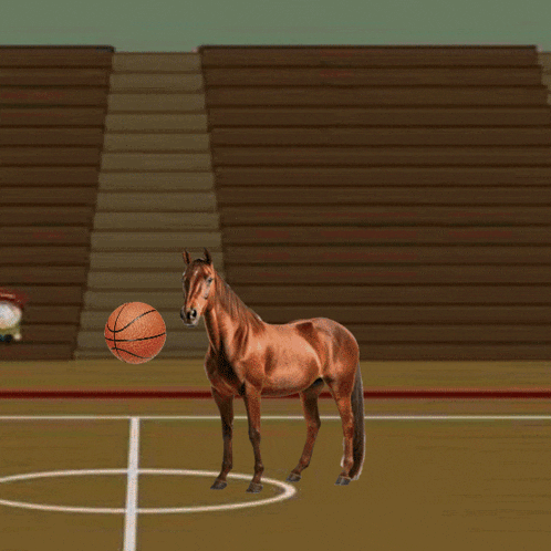 a horse is holding a basketball on a court