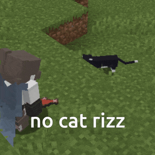 Cat Minecraft GIF - Cat Minecraft Minecraft Cat GIFs
