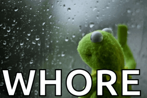 a kermit the frog is looking out a window with the word whore above it