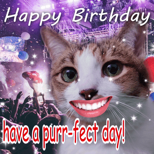 Ianicorngif Happy Birthday GIF - Ianicorngif Happy Birthday Cat GIFs