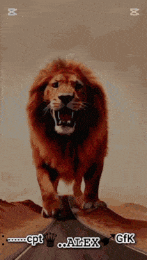 a painting of a lion on a road with alex gfk written on the bottom