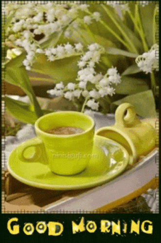 Lily Flower GIF - Lily Flower GIFs