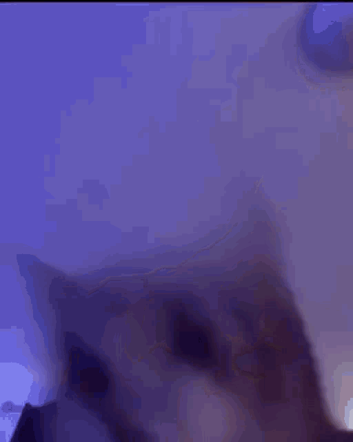 Mills Cat Cat Jam GIF