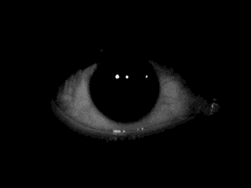 a black and white photo of a fish 's eye in the dark