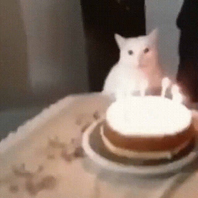 a white cat sitting next to a birthday cake with candles lit