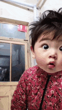 a baby wearing a red floral outfit is looking at the camera