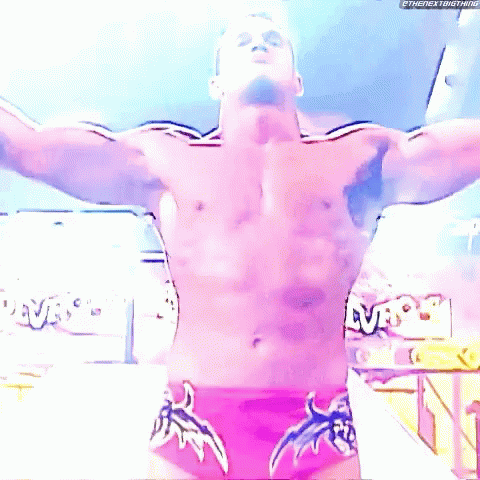 Randy Orton Wwe GIF - Randy Orton Wwe Wrestling GIFs