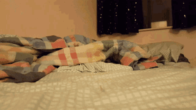 Lucy Cat GIF - Lucy Cat Boop GIFs