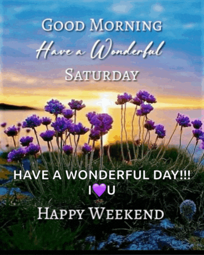 good morning have a wonderful saturday have a wonderful day !!! i love you happy weekend .