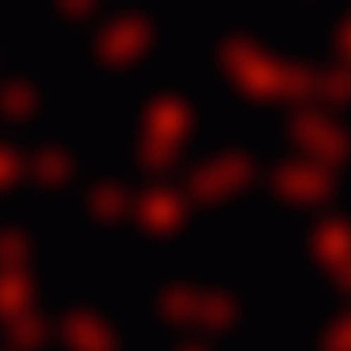 Red Lights GIF - Red Lights Glowing GIFs