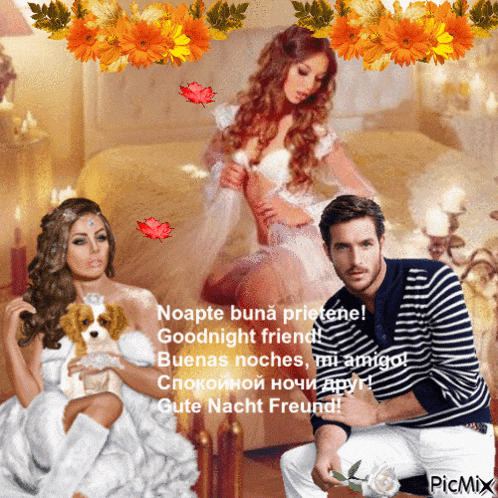 a picture of a woman sitting on a bed with a man and a dog with the words " noapte buna prietene goodnight friend "