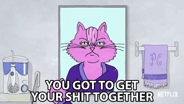 a cartoon of a pink cat says you got to get your shit together netflix