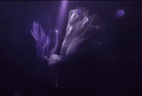 a woman in a white dress is swimming underwater in a purple light .