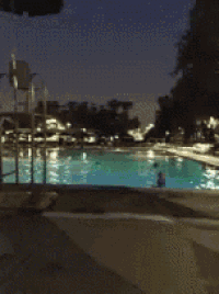 Pool GIF - Pool GIFs