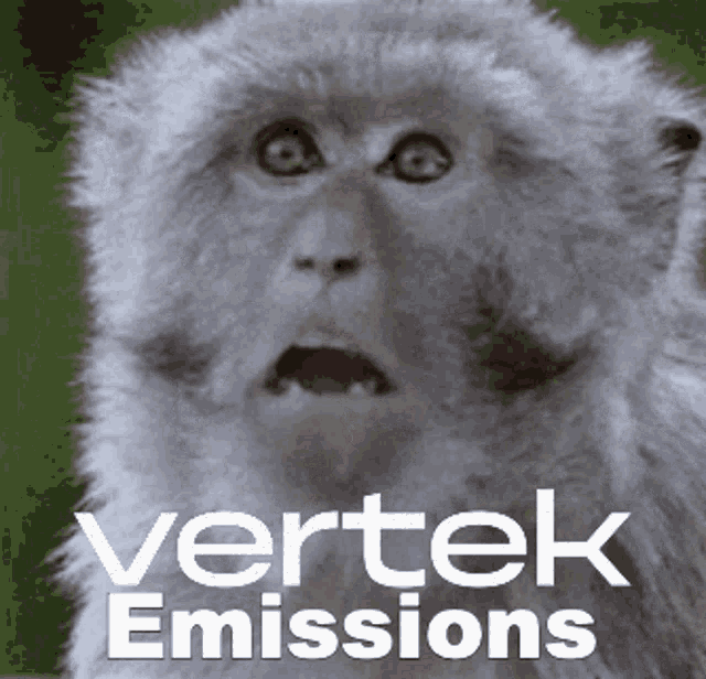 a monkey with a surprised look on its face and the words vertek emissions written below it
