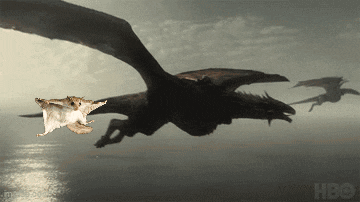 three dragons are flying over a body of water with a hbo logo in the corner