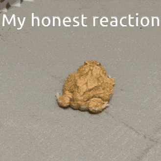 a picture of a frog with the words " my honest reaction " underneath it
